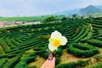 Du lịch Điện Biên